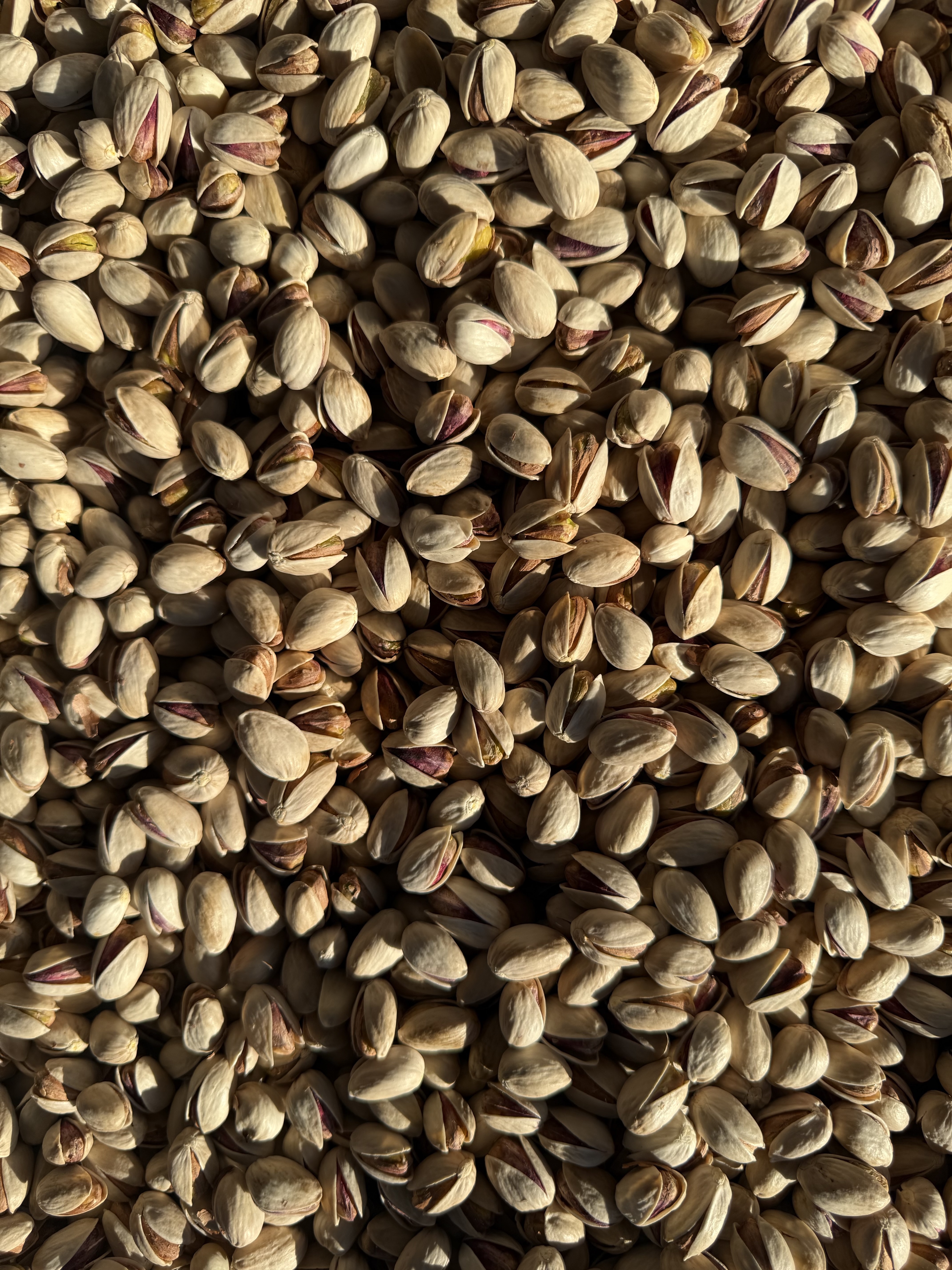 پسته احمدآقایی