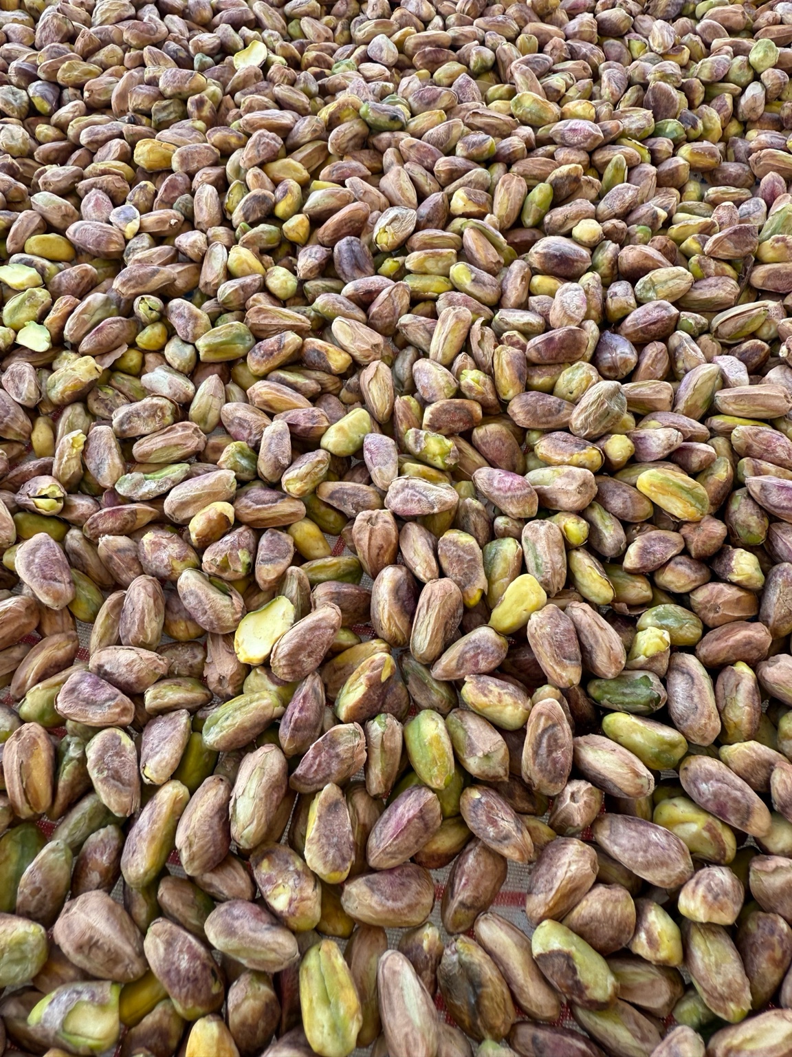 مغز پسته